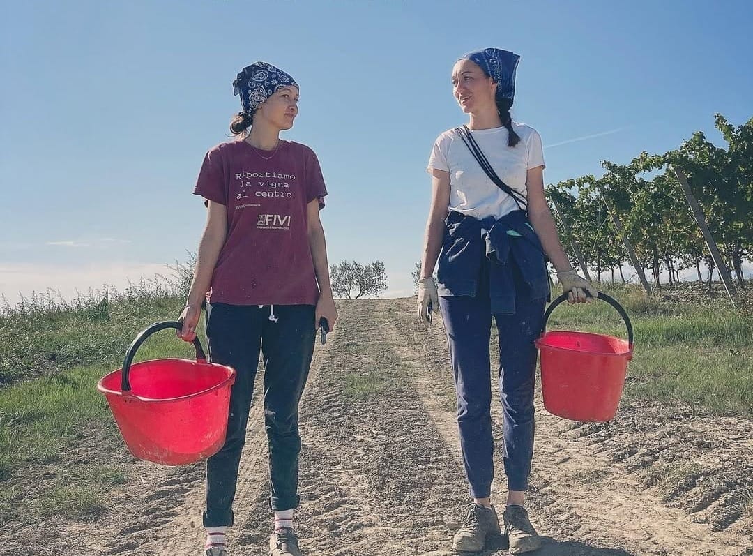 La Valle Del Sole, Marche Passerina - Italy, 2022