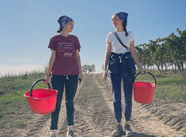 La Valle Del Sole, Marche Passerina - Italy, 2022