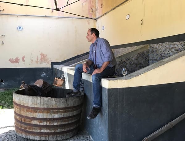 Vino Lauria, Zio Paolo Nero d'Avola - 2023